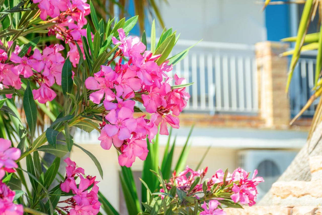 Villagio Laganas Appartement